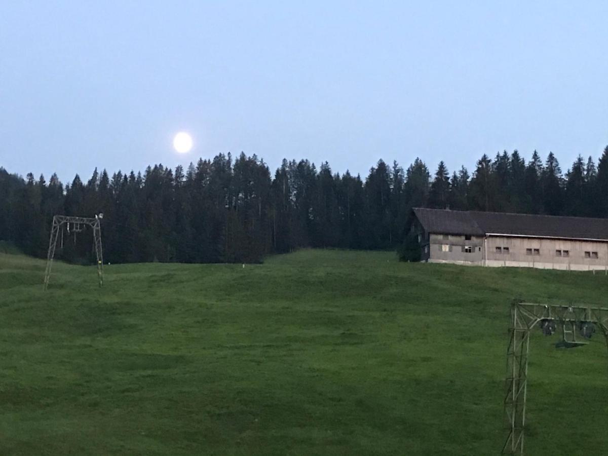 Kleine Ferienwohnung am Rande der Wildnis Sibratsgfäll Exterior foto