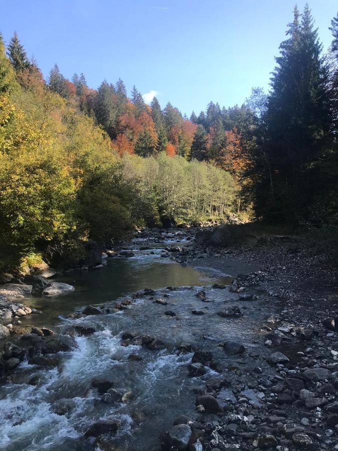 Kleine Ferienwohnung am Rande der Wildnis Sibratsgfäll Exterior foto